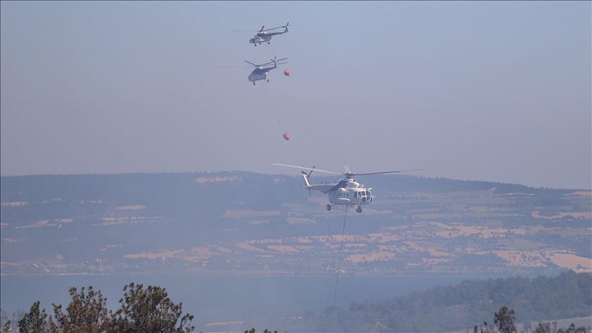 Türkiye continues to battle forest fires in its western, southern provinces