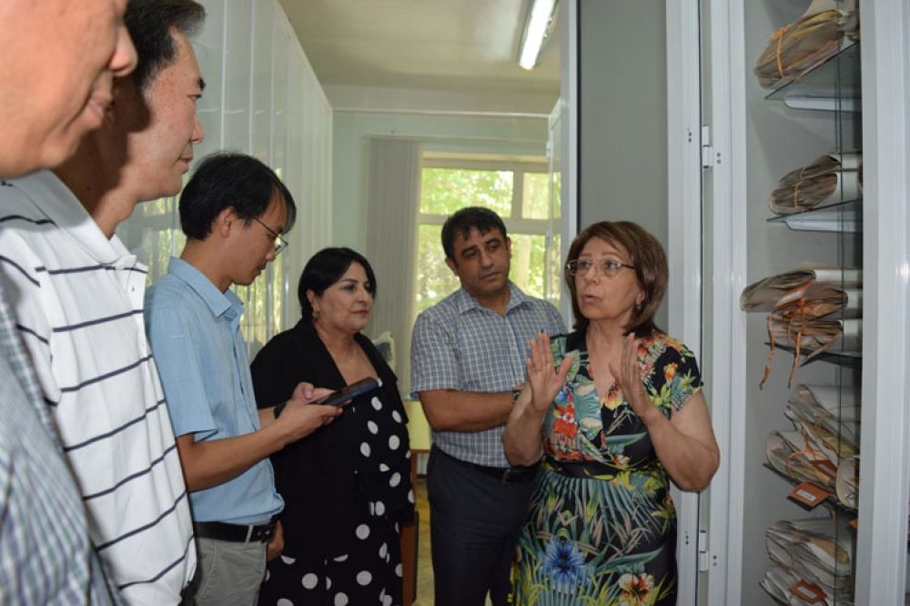 Azerbaijani botanists to cooperate with their Chinese colleagues [PHOTO]