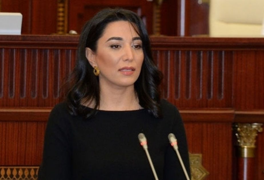 Ombudsman: CoE Secretary General's statement on situation around Lachin-Khankendi road raises concern