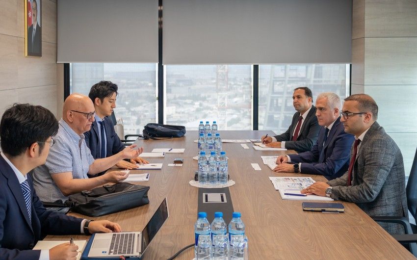 Azerbaijan discussed projects on renewable energy with Japanese companies