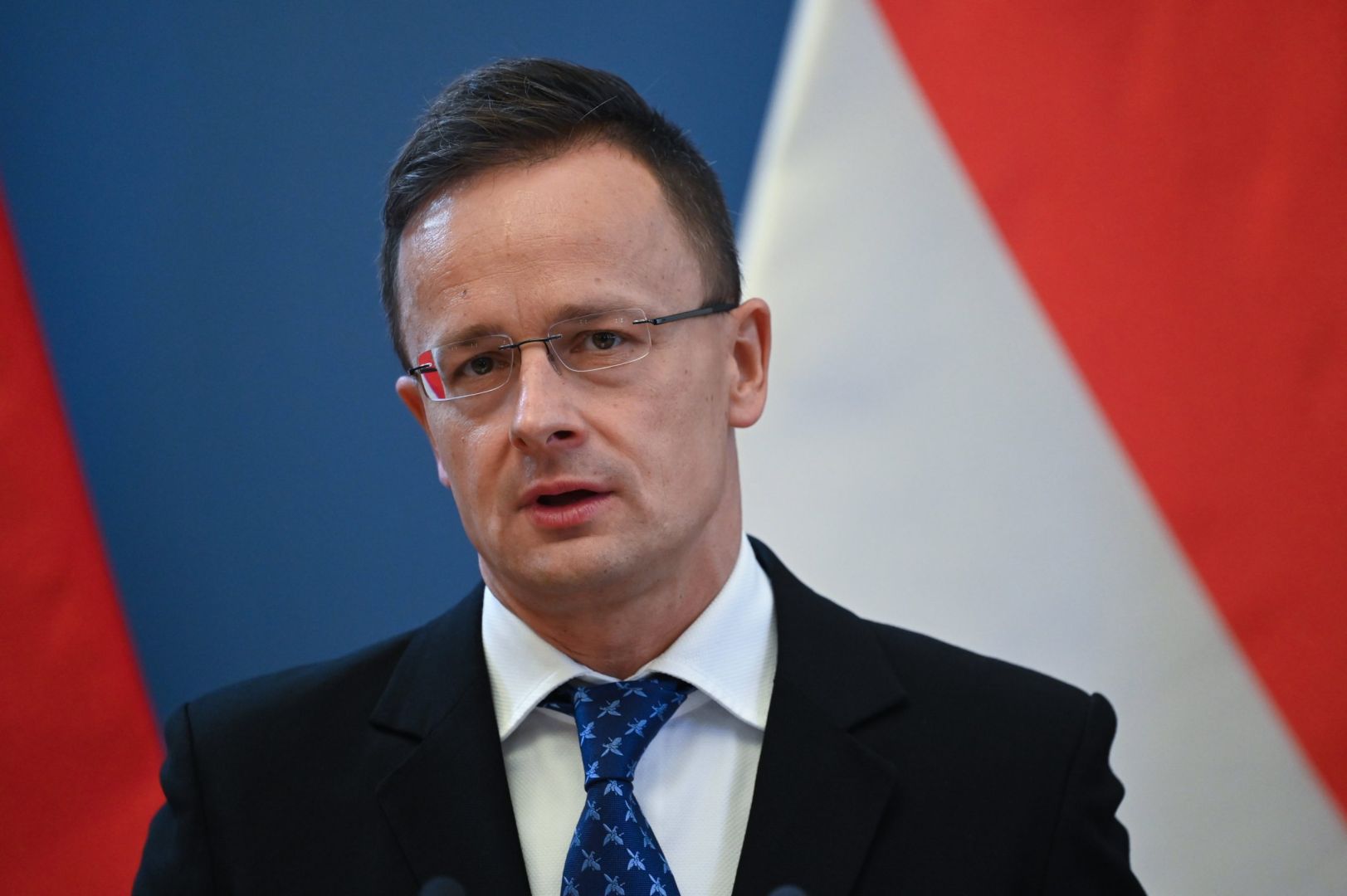 Energy Cooperation between Hungary and Azerbaijan gains new dimensions