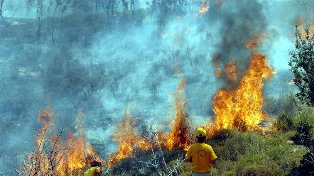 Türkiye offers Greece help to fight ongoing wildfires