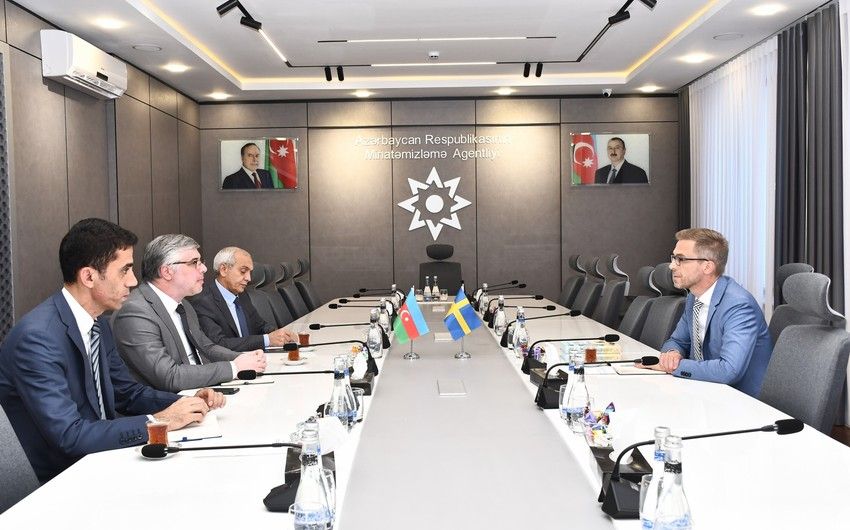 Azerbaijan, Sweden discuss prospects of coop in field of demining