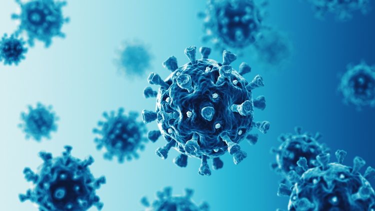 Turkish Health Ministry warns of potential 'Pirola' COVID-19 variant