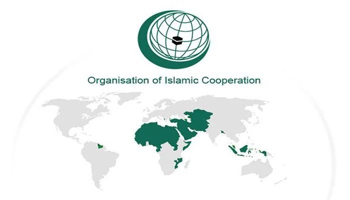 OIC to prepare report on results of monitoring in Azerbaijan's liberated territories
