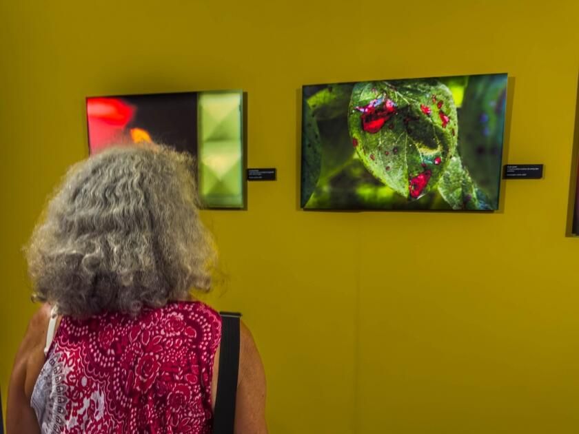 Exhibitions of famous photojournalist in France presents photos dedicated to Azerbaijan [PHOTOS]