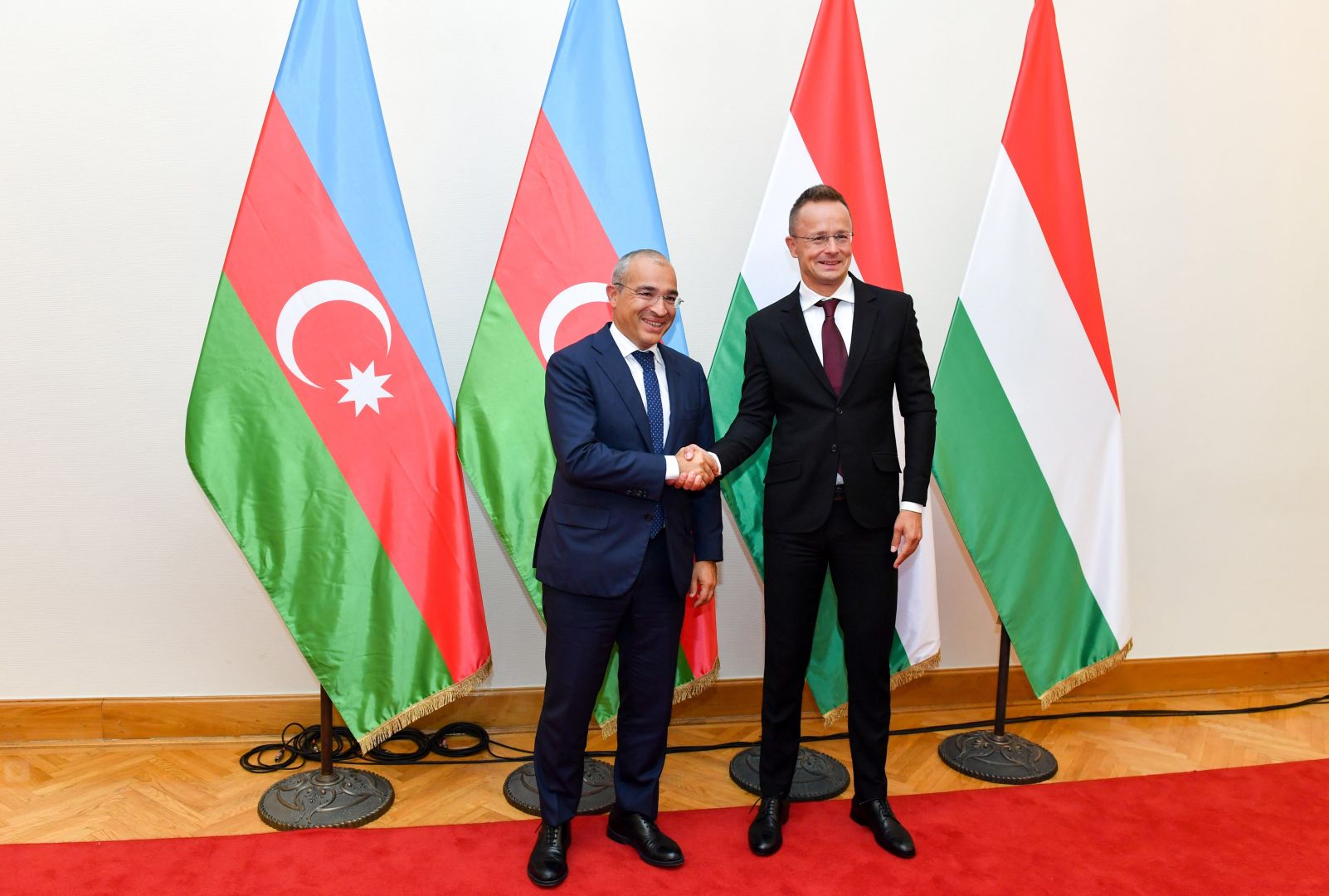 Azerbaijan, Hungary discuss strengthening trade & economic ties [PHOTOS]