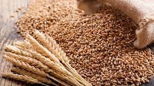 Kyrgyzstan increases wheat imports 1.6 times