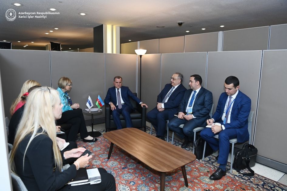 Azerbaijani FM meets with OSCE Secretary General [PHOTOS]