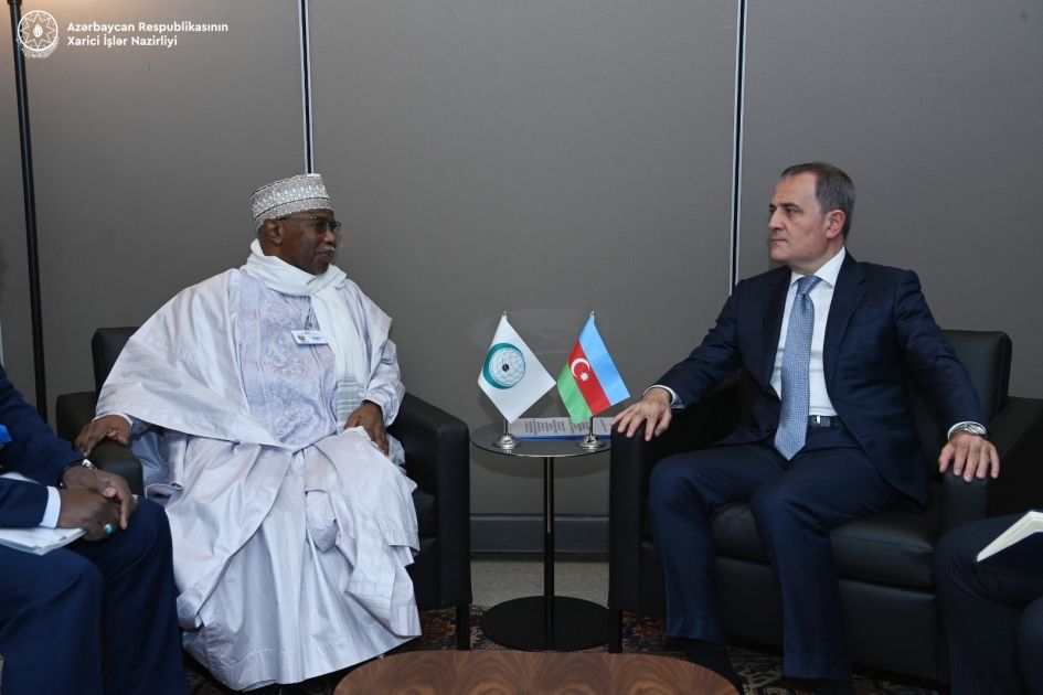 Azerbaijani FM informs OIC Secretary General about current situation in the region [PHOTOS]