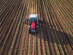 Around $467.54 mln to be allocated for preferential lending to agriculture