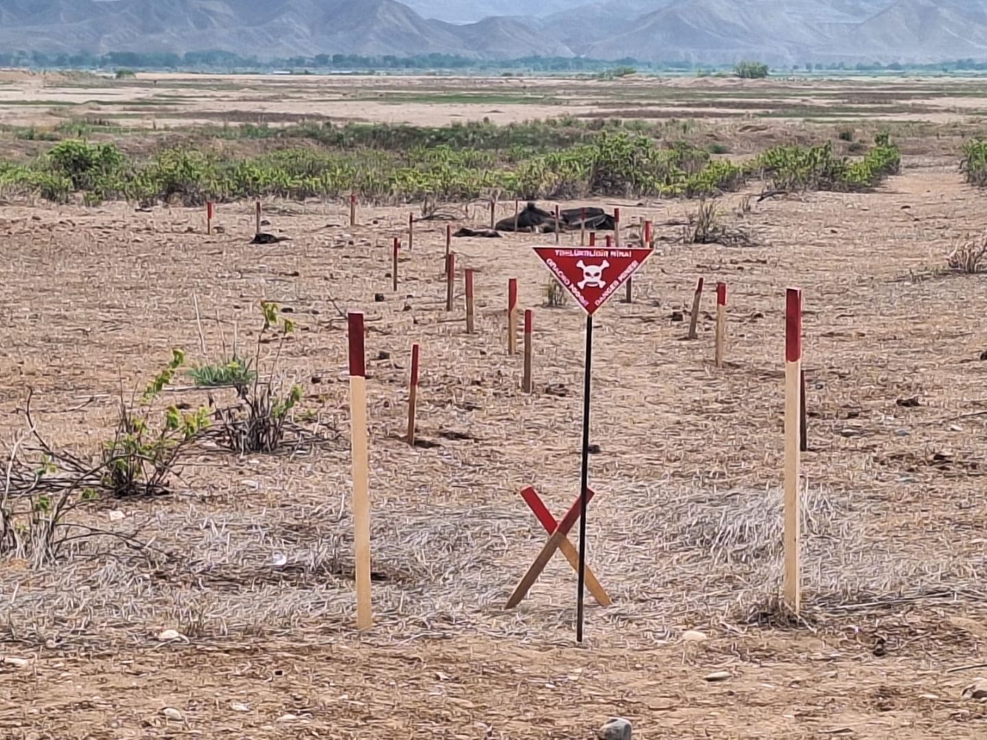 Officials reveals number of landmines eliminated in liberated territories