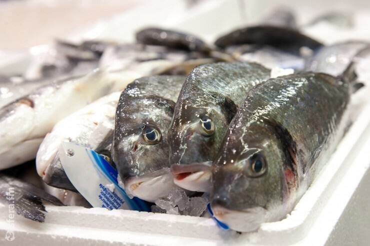 Russia expands geography of fish product exports to 80 nations in 2023