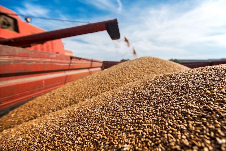 Kazakhstan extends ban on wheat imports