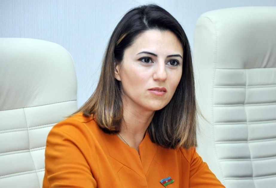 MP: UN mission statement thwarts evil intentions of foreign forces accusing Azerbaijan