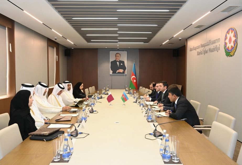 Consultations between Azerbaijani FM and Qatar held