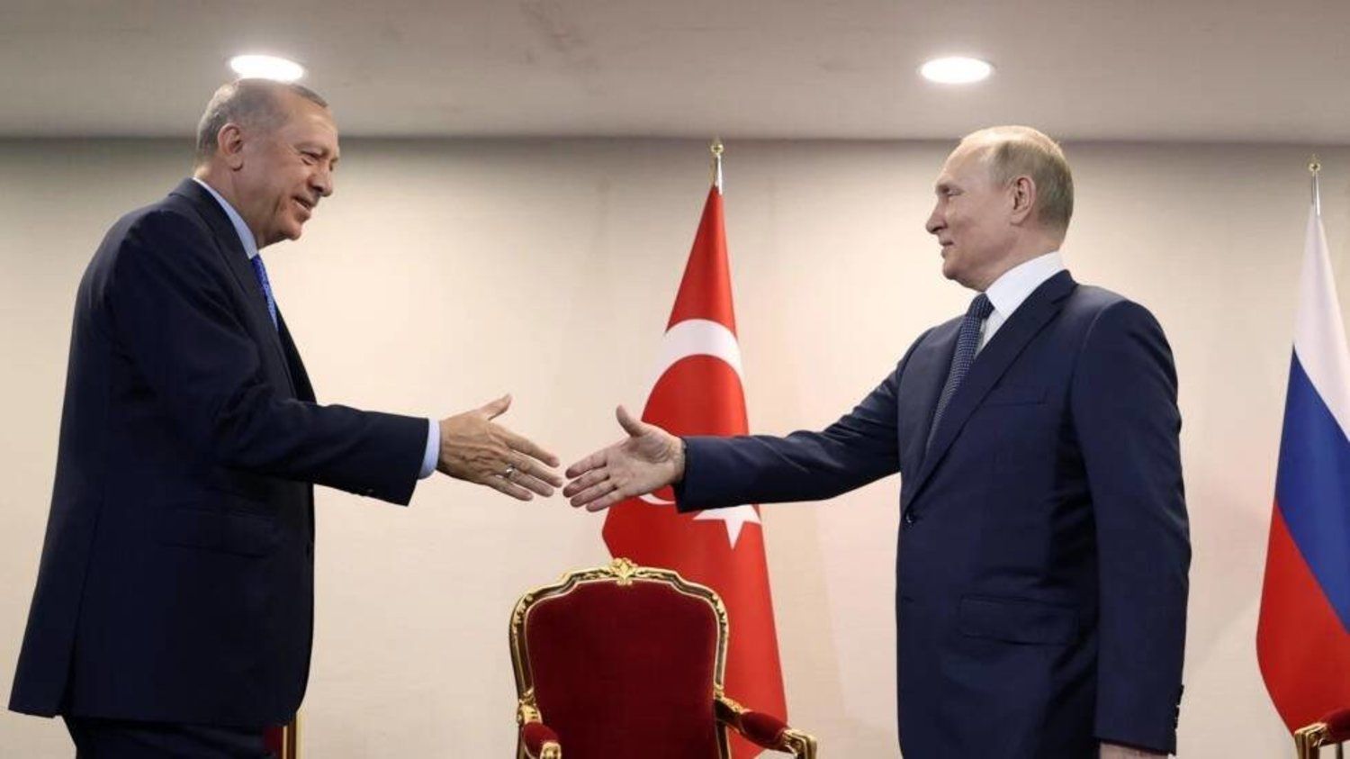 President of Turkiye and Russia have telephone conversation