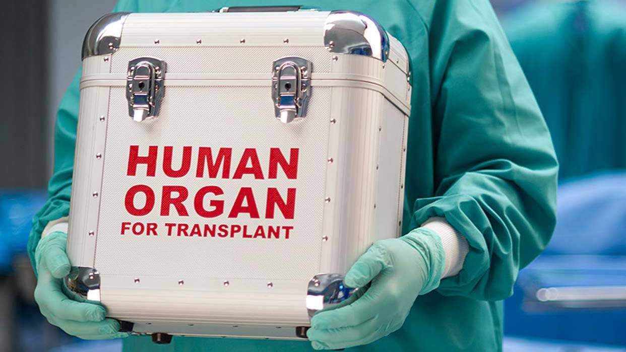 Azerbaijan conducts 80 organ transplants under state insurance