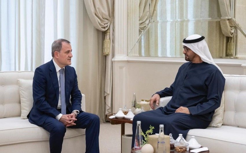 Azerbaijani Foreign Minister discusses regional security issues with UAE President