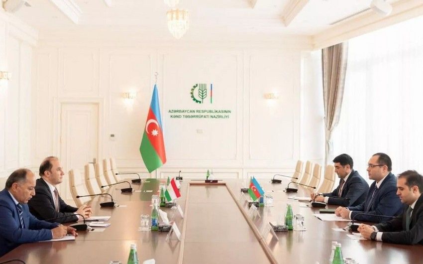 Tajikistan, Azerbaijan agree to develop cooperation in agriculture