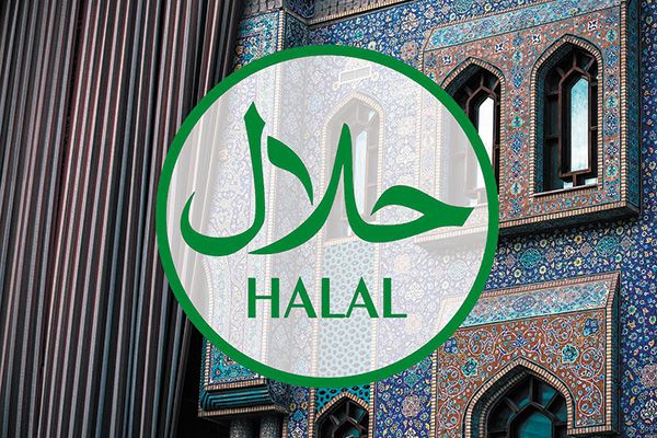 Pakistan to share experience with Kyrgyzstan in field of halal industry