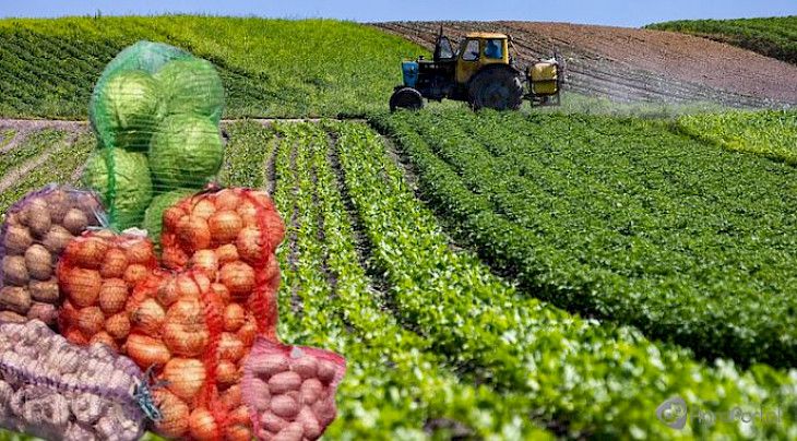 Harvesting of agricultural crops completed in Kyrgyzstan