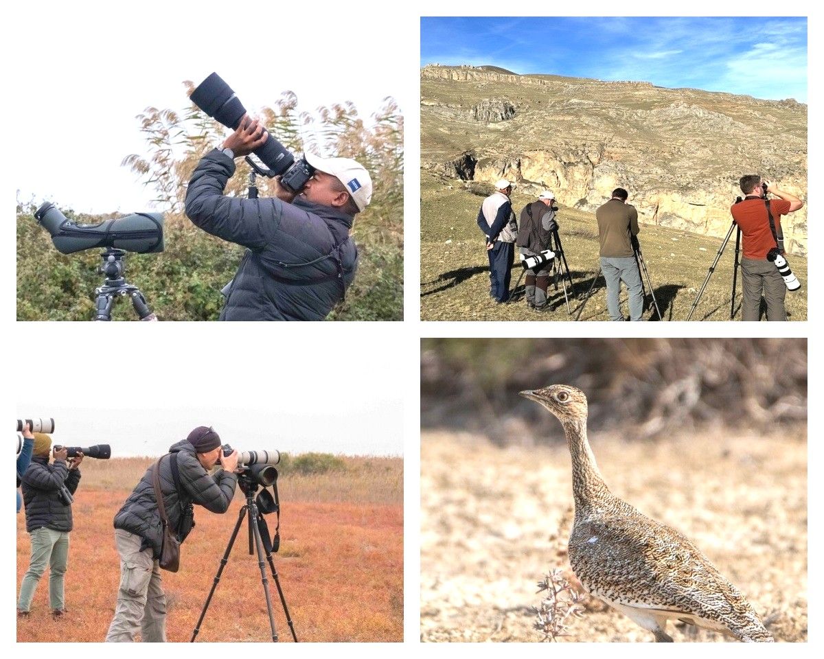 Azerbaijan offers countless bird watching destinations [PHOTOS]