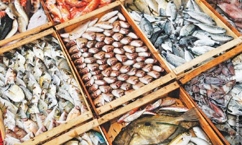 Fish production and consumption in Azerbaijan sharply decrease
