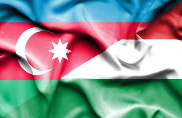 Investment cooperation between Azerbaijan, Hungary discussed