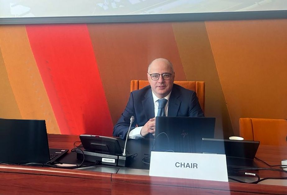 Representative of Azerbaijan elected as Chairman of Council of Europe's Expert Committee