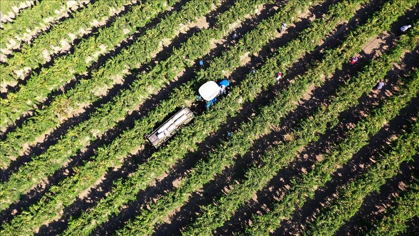 Global Food Security Summit kicks off in London