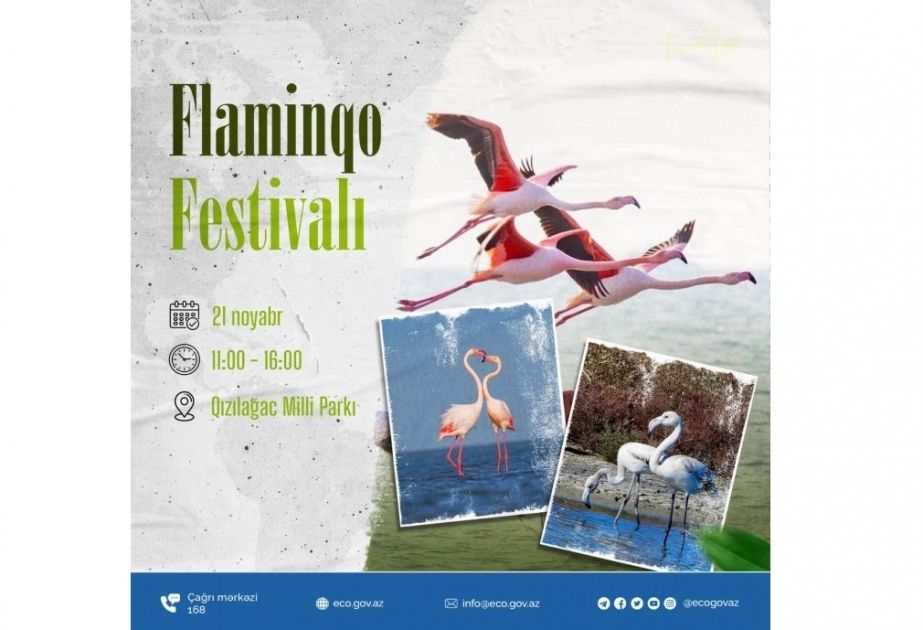 Gizilagaj National Park to host Flamingo Festival