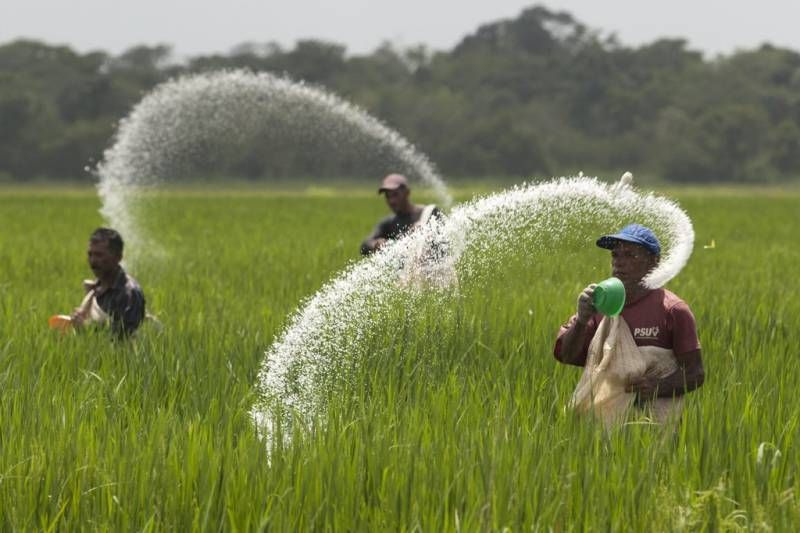 Pakistan eye to purchase urea fertilizer from Azerbaijan