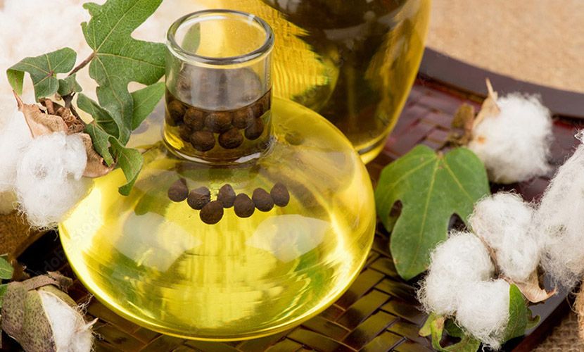 Azerbaijan's largest raw cottonseed oil producer reveals volume of exported products