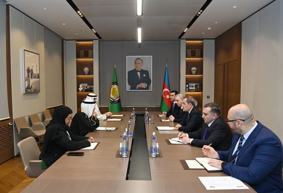 Azerbaijani FM meets with Secretary-General of Gulf Cooperation Council