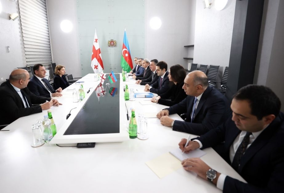 Azerbaijan, Georgia discuss prospects of coop in science & education