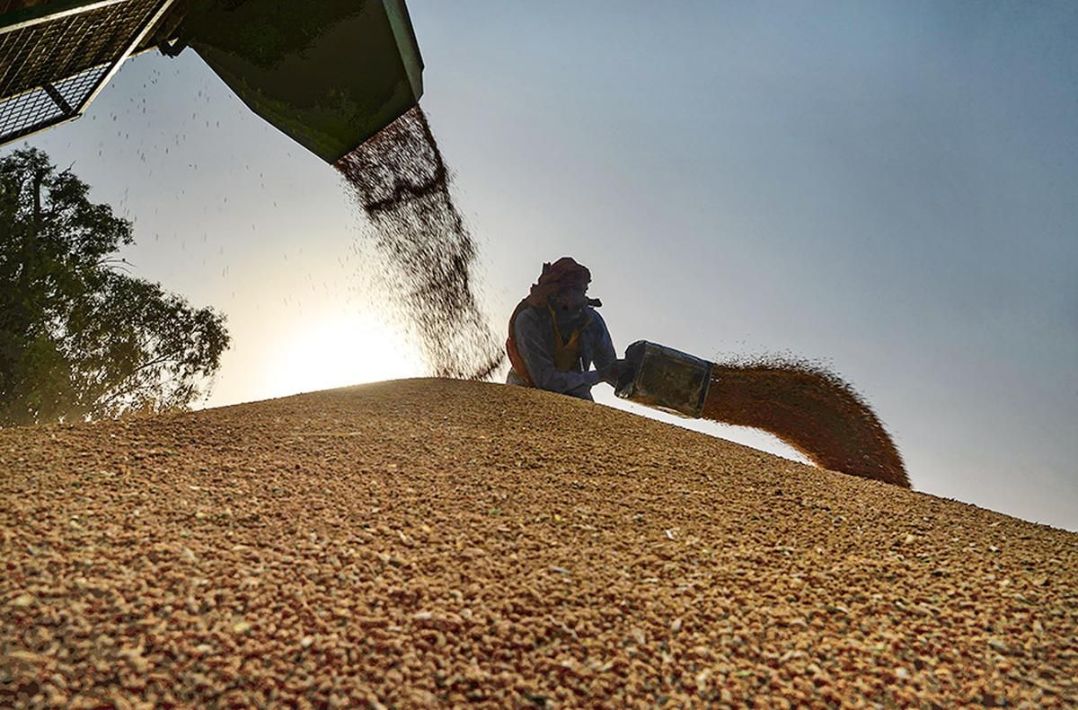 Azerbaijan needs to increase wheat production amidst predicament in global trade: expert [COMMENTARY]