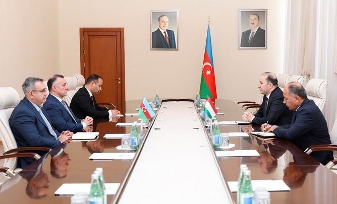 Azerbaijani-Tajik relations in field of health care discussed