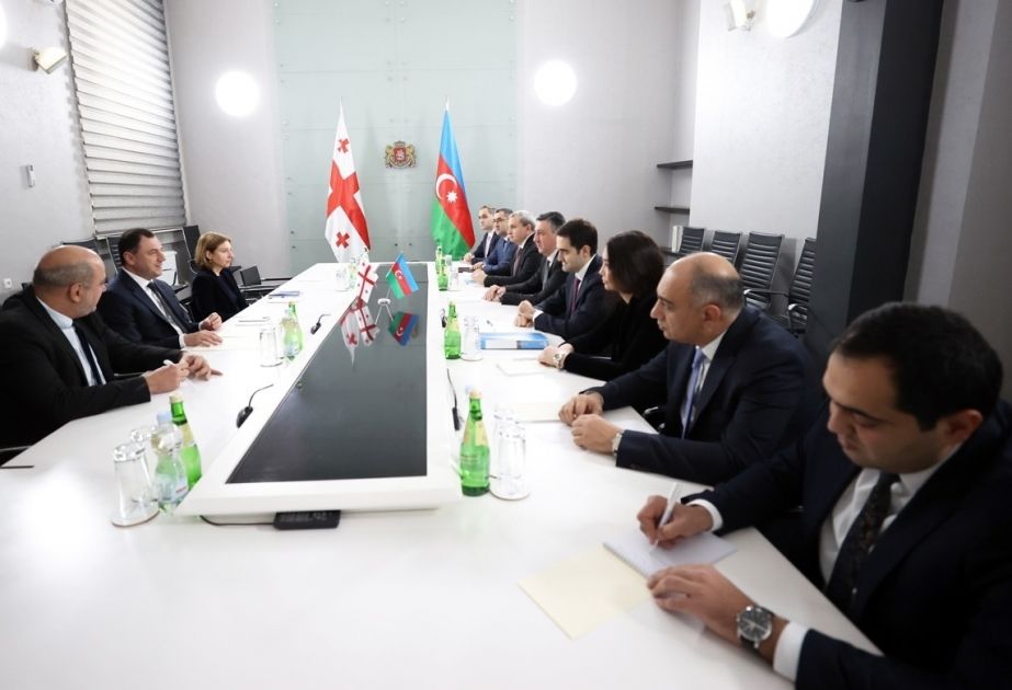 Azerbaijan, Georgia discuss co-operation in science and education spheres