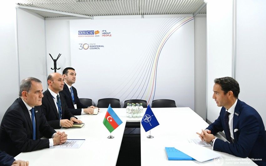 Azerbaijani FM discusses regional problems with NATO representative