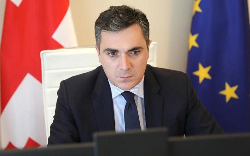 Georgian FM: Authorities are ready to ensure free elections in 2024
