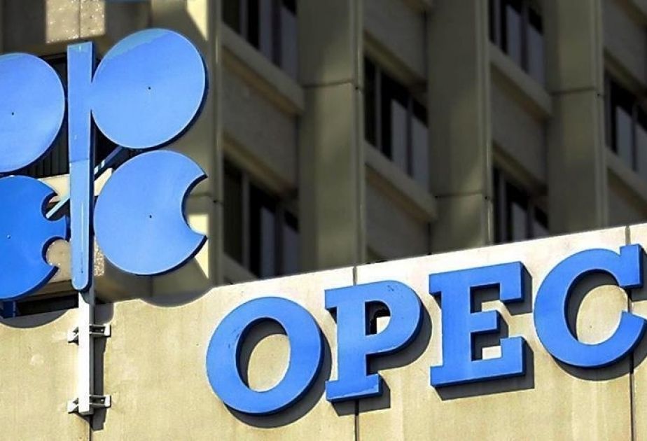 OPEC+ countries agree to reduce oil production until first quarter of 2024 [PHOTOS]