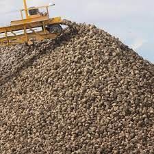Sugar beet harvest sets record in Belarus