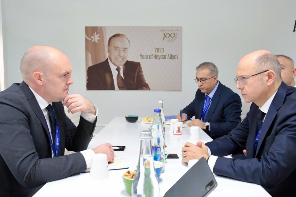 Azerbaijan, Danimark discuss possibilities of wind turbine production