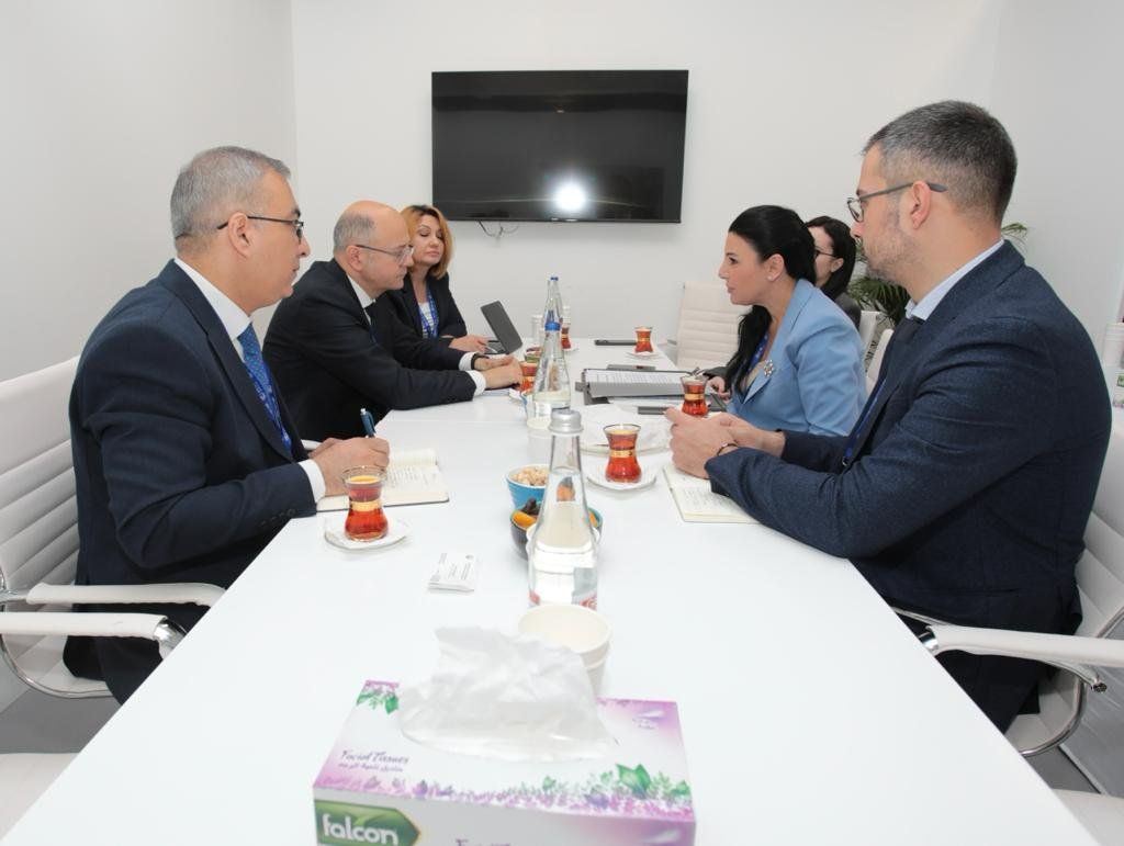Azerbaijan, Albania discuss energy cooperation [PHOTOS] - Gallery Image