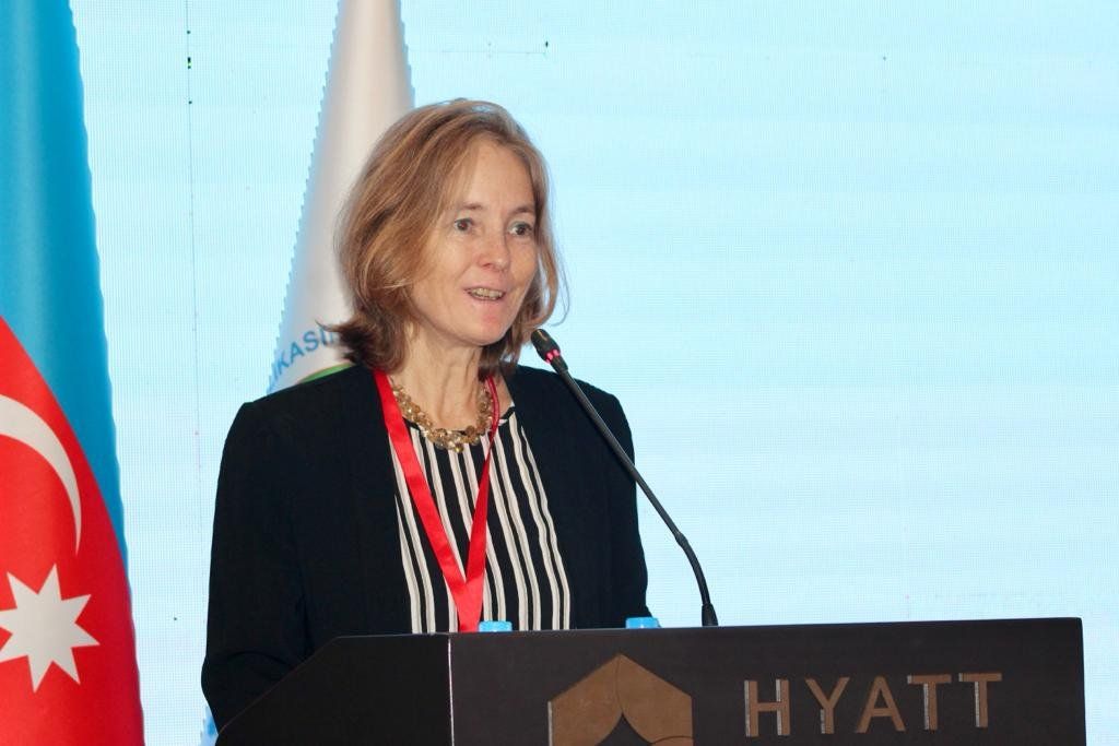 Azerbaijan has implemented successful reforms in this direction - Florence Bauer