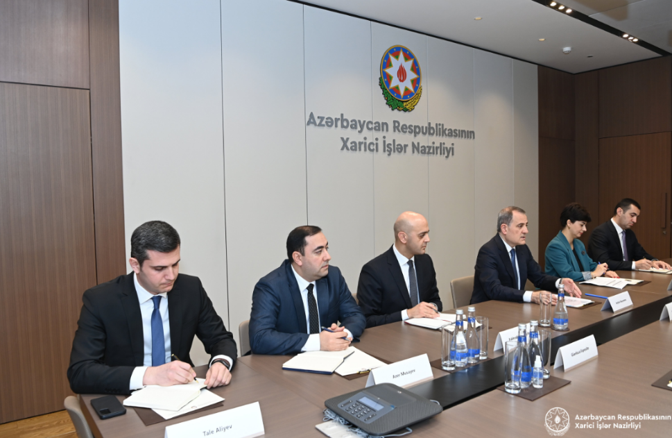 Azerbaijani FM received Secretary General of  Council of Europe [PHOTOS] - Gallery Image