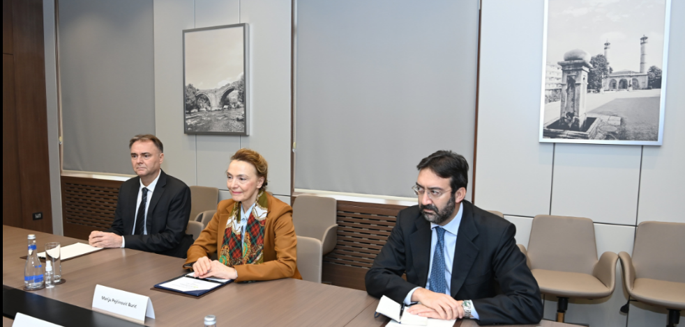 Azerbaijani FM received Secretary General of  Council of Europe [PHOTOS] - Gallery Image