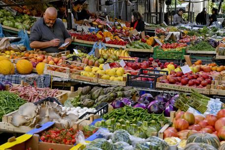 Italy to throw away 500,000 tonnes of food over Xmas