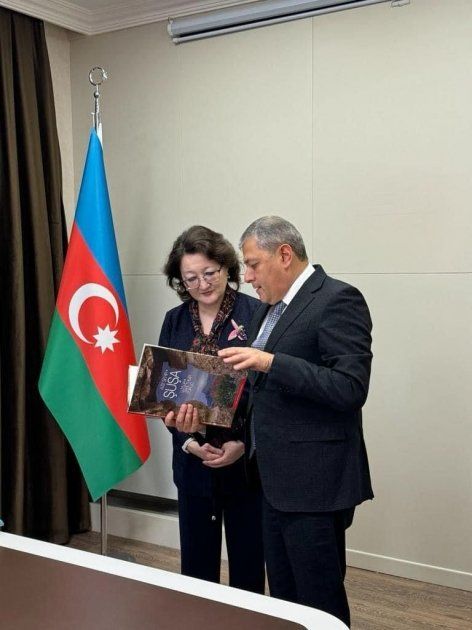 President of Turkish Culture and Heritage Foundation meet with special representative of President in Shusha region - Gallery Image